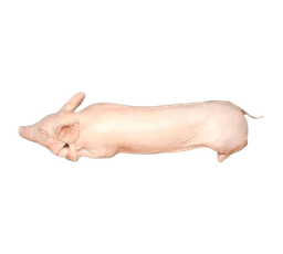 Lechón entero